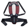 Alpinestars Ryggskydd Nucleon Plasma