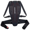 Alpinestars Ryggskydd Nucleon Plasma